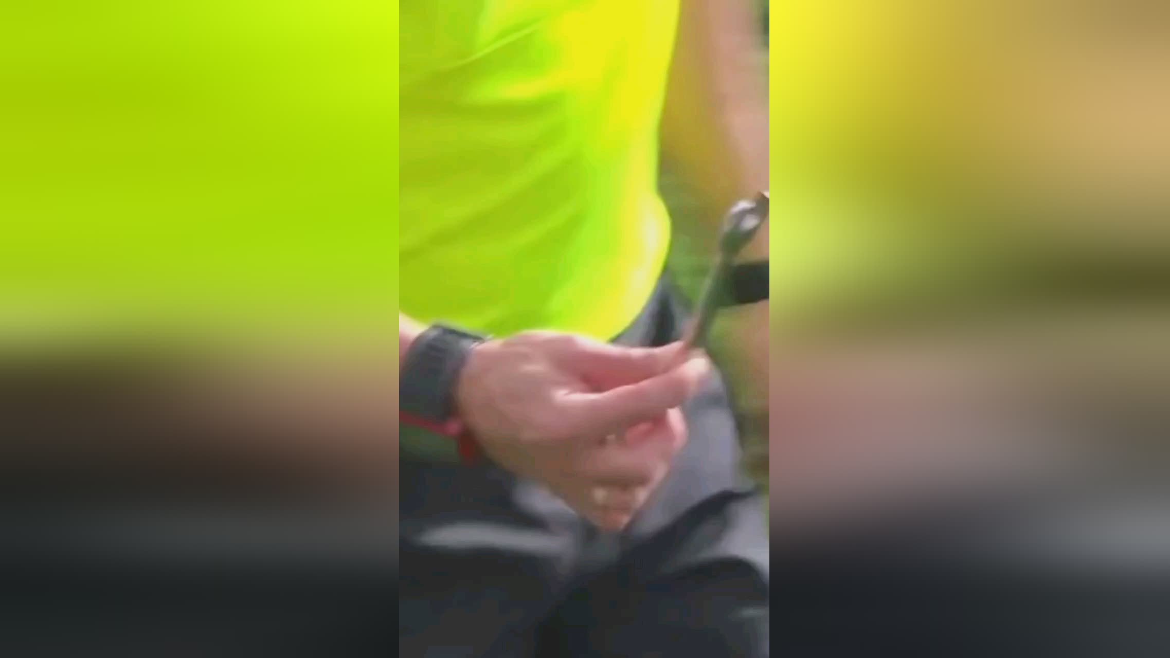 预测更是